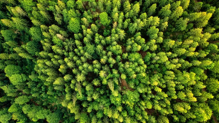 Imagem Sustentabilidade 2